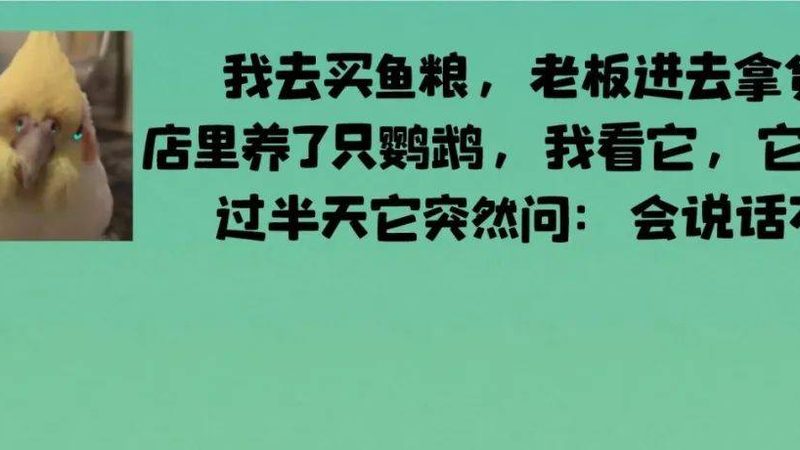 揭秘休闲食品批发代理加盟：费用构成与关键要素